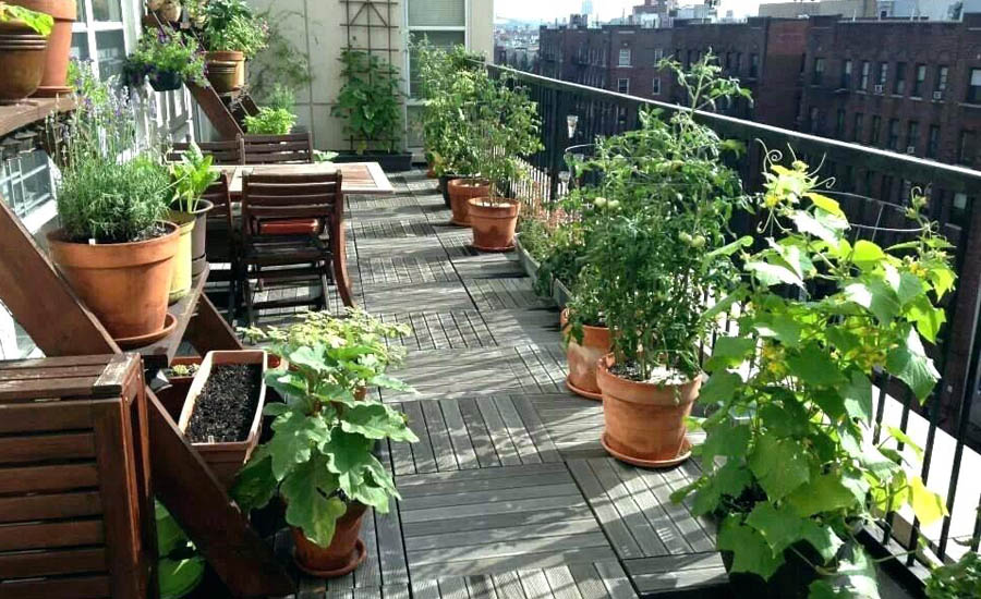 How to Create an Awesome Balcony Garden in Your Apartment