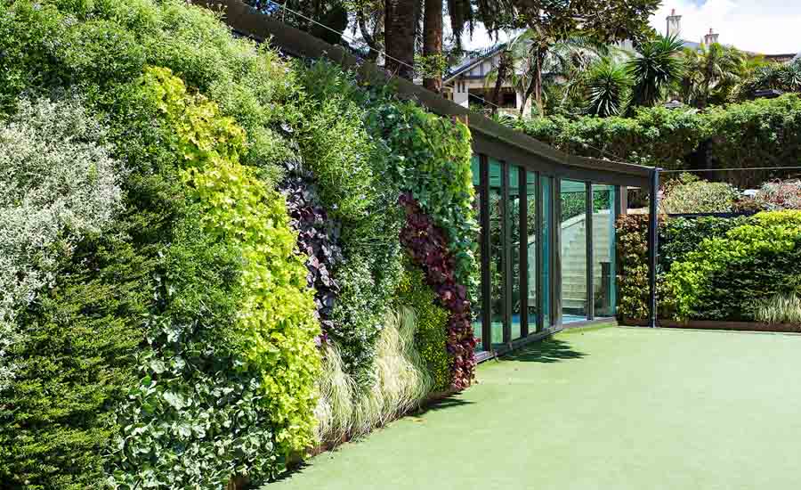 Tips for Using a Vertical Garden to Add Greenery to a Small Space