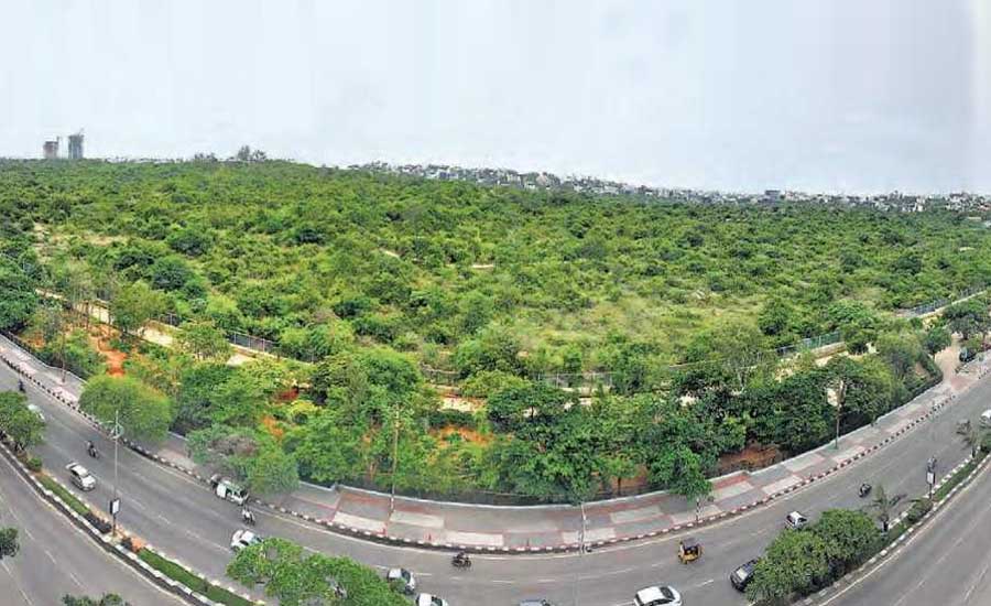 how-hyderabad-is-successfully-preparing-for-a-green-future