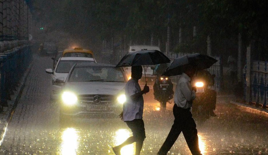 Why You Cannot Miss Ilish, Greenery, and More in Monsoon Season Kolkata