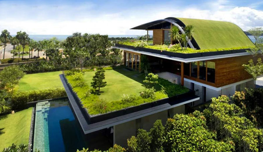 Transform Your Home with a Green Roof: Top Benefits Explored